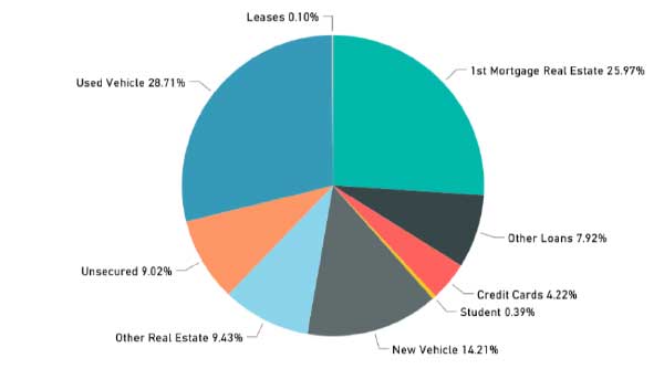 LOAN COMPOSITION AS OF JUNE 2017